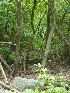 Trail to Outlook